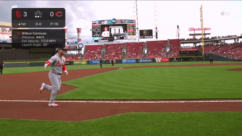 St Louis Cardinals Willson Contreras GIF