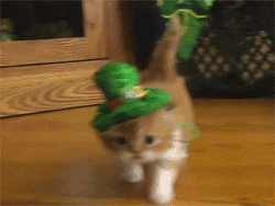 St Patricks Day Kitty Donning Leprechaun Hat GIF