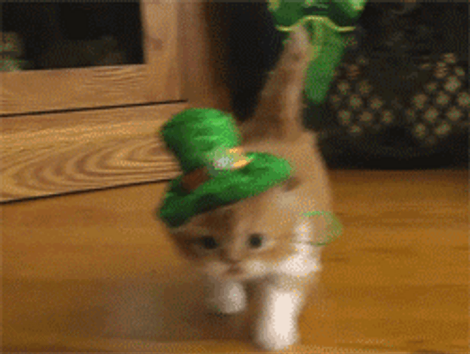 St Patricks Day Kitty Donning Leprechaun Hat GIF