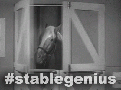 Stable Genius Mr Ed GIF