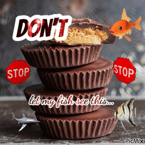 Stack Of Chocolate Peanut Butter Cups Saying Don't Let My Fish See This GIF