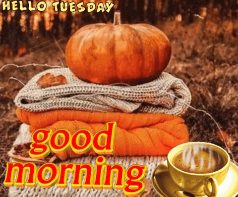 Stack of Sweaters With Pumpkin and Coffee