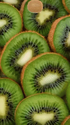 Stacked Kiwi Slices