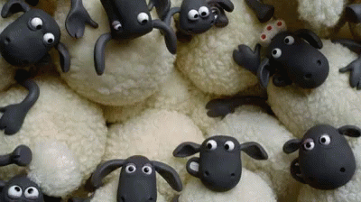 Stacked Stuffed Sheep with Big Eyes