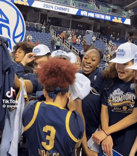 Stadium Crowd With 2024 Champs Sign GIF
