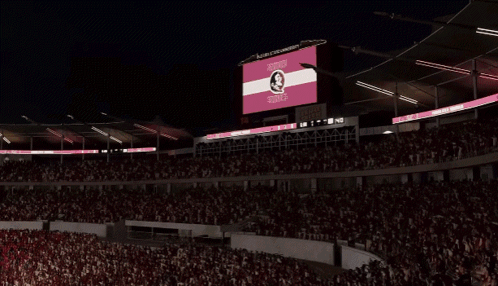 Stadium Welcoming Fsu GIF