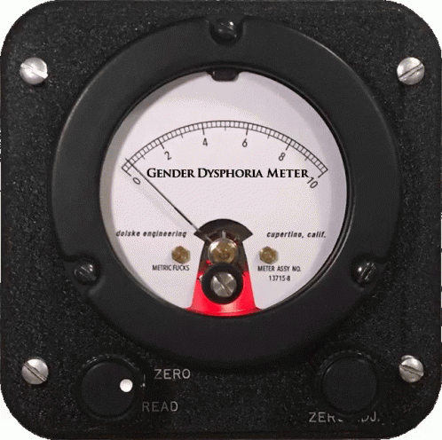 Stagnant Gender Dysphoria Meter GIF