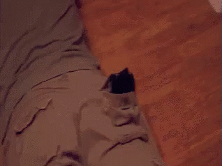 Stahp Panicking Guy Meme GIF