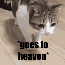 Stairs To Heaven With Nikki GIF