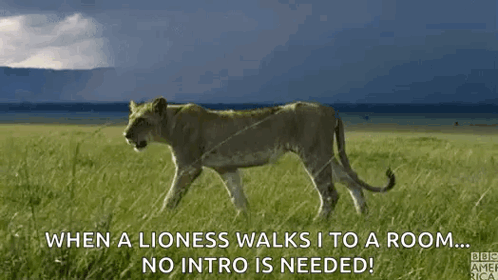 Stalk Walking GIF