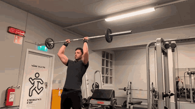 Standing Barbell Press Gif GIF
