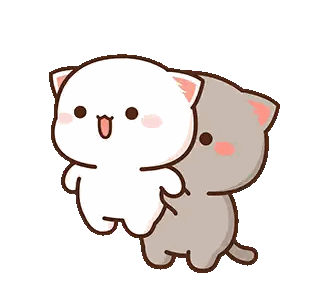 Standing Cats