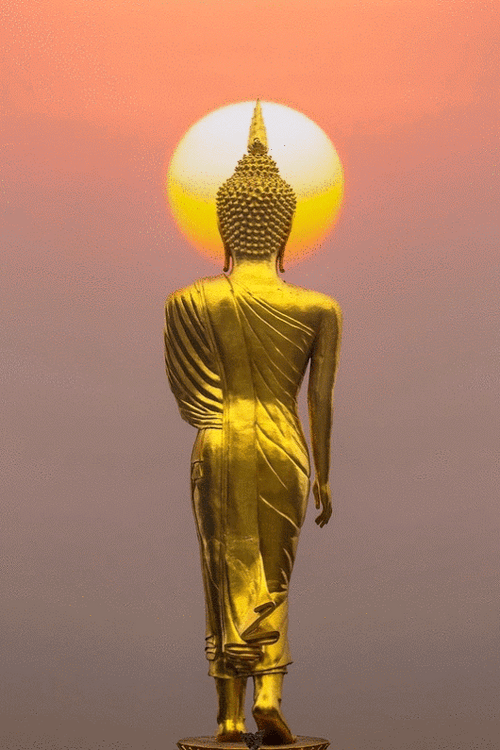 Standing Golden Buddha Back Side GIF
