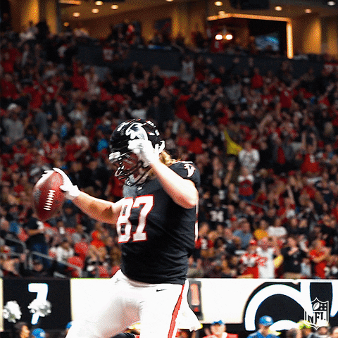 Stanky Leg Atlanta Falcons Nfl GIF