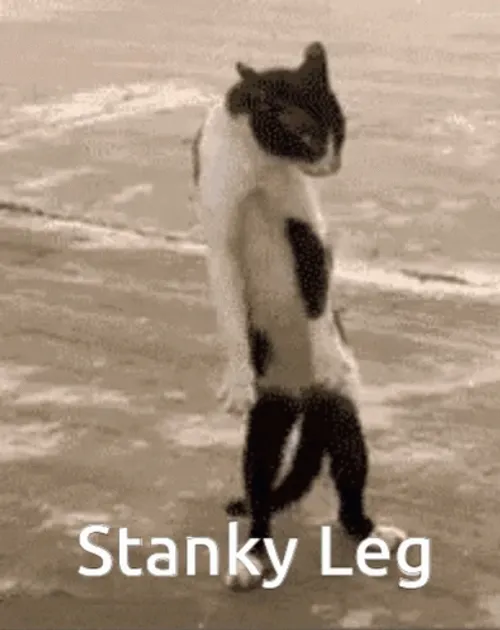 Stanky Leg