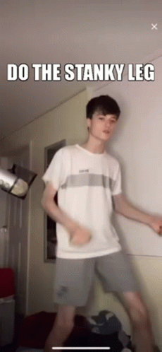 Stanky Leg Highkeyhateme Twitch GIF