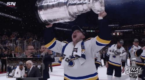Stanley Cup Vince Dunn St Louis Blues GIF