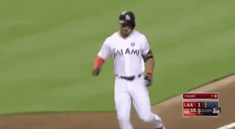 Stanton Run Side Field GIF
