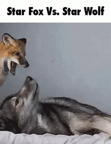 Star Fox Vs Star Wolf GIF
