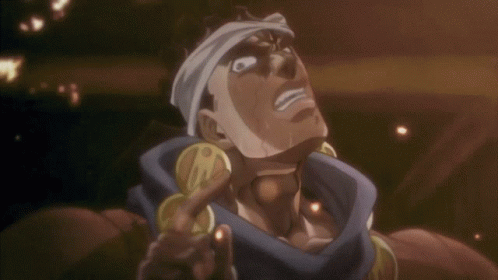 Star Platinum And Muhammad Avdol Fighting GIF