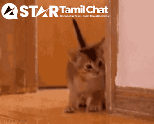 Star Tamil Chat Logo With Cat GIF
