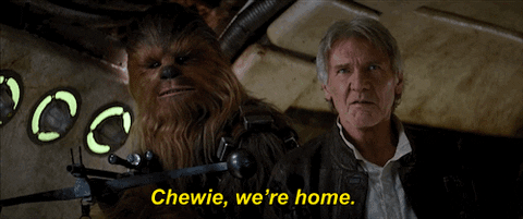 Star Wars Chewie We're Home GIF