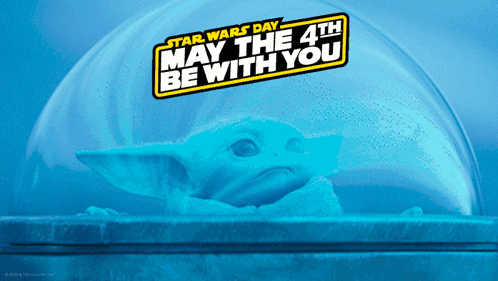 Star Wars Day Baby Yoda