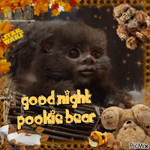 Star Wars Greeting Card with Pookie Bear