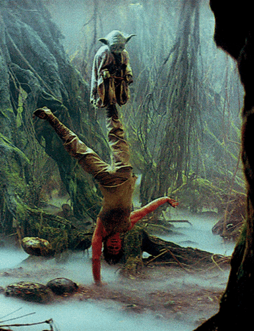 Star Wars Luke Skywalker And Yoda GIF