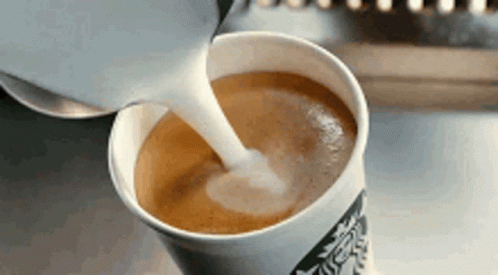 Pouring Creamer In Starbucks Coffee GIF