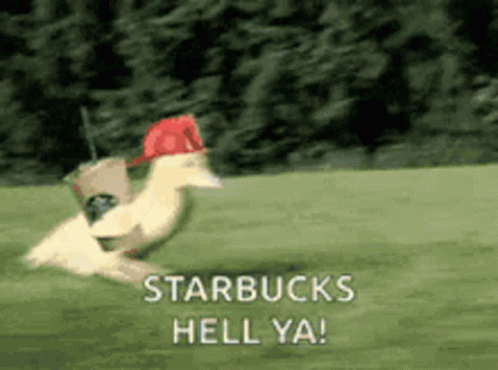 Starbucks Hell Yeah Speeding Duck GIF