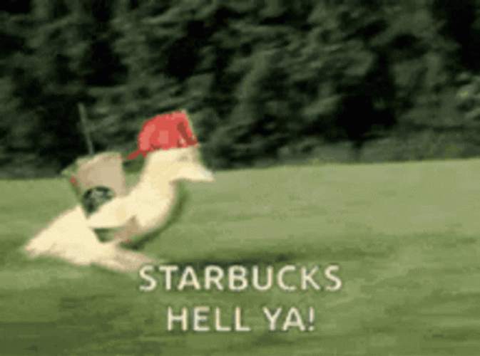 Starbucks GIF
