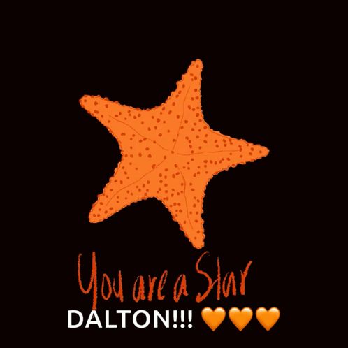 Starfish You Are a Star Dalton