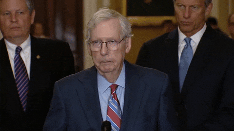 Staring Mitch Mcconnell Turtle GIF