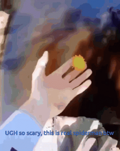 Starling Black Spider Jumpscare GIF