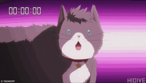 Starring Each Other Cute Cat Animated GIF