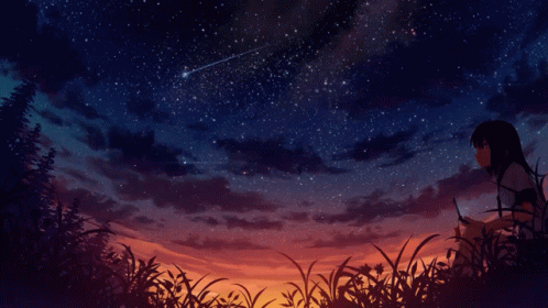Starry Night Anime Girl In Field GIF