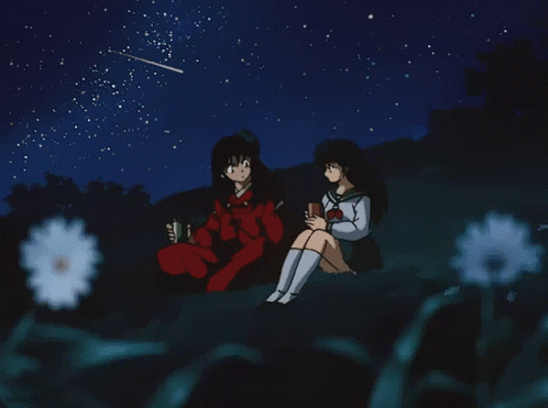 Starry Night Inuyasha And Kagome Anime GIF