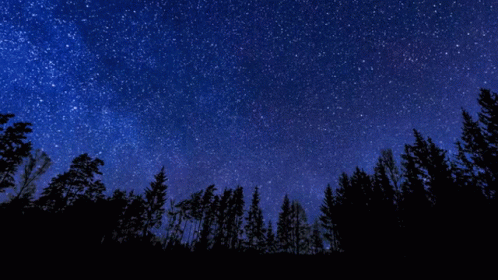 Starry Night Sky Rotating Above Forest GIF