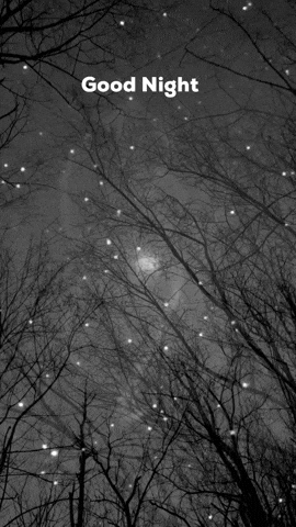 Starry Sky Outside Goodnight GIF