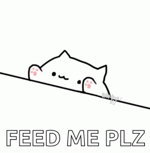Starving Cat Feed Me Please GIF