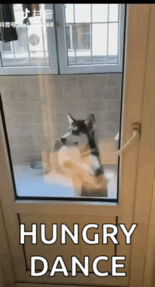 Starving Dog Hungry Dance GIF