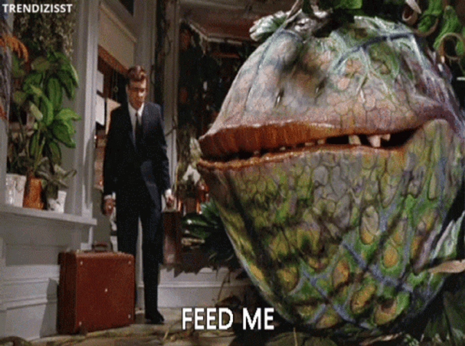 Starving Plant Feed Me GIF