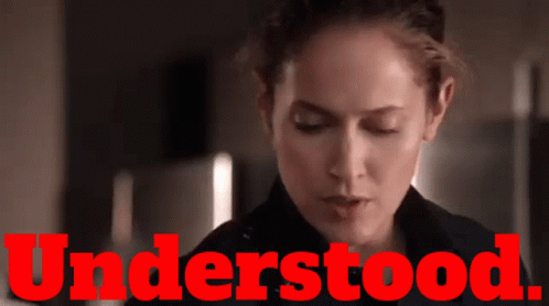 Station 19 Understood GIF