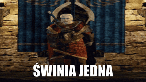 Statue Of Man Holding Sword Saying Swinia Jedna GIF