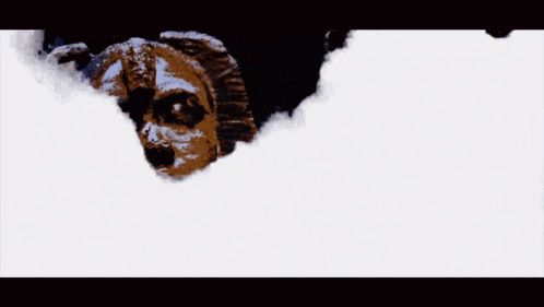 Statue of Man With Egypt
