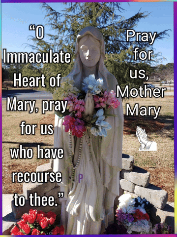 Statue With Flowers Pray For Us Mother Mary GIF