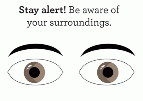 Stay Alert Eyes GIF