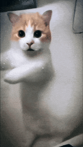 Stay Cool Gif GIF