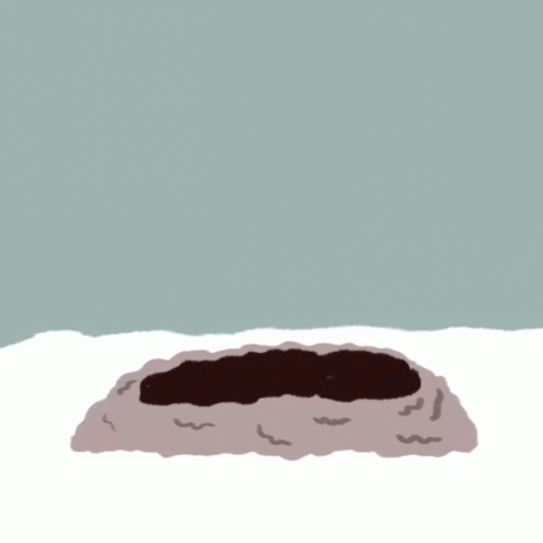 Stay Home Groundhog  GIF